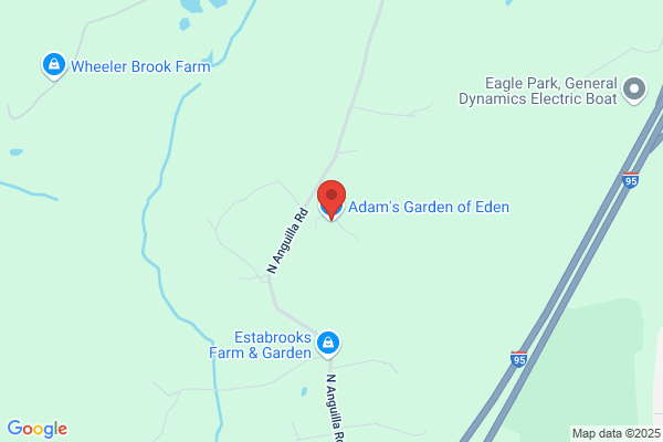 Adams Garden Of Eden