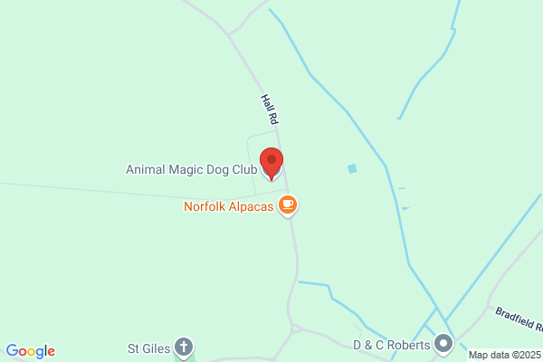Animal Magic