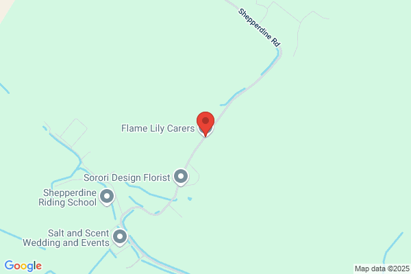 Flame Lily Carers Ltd