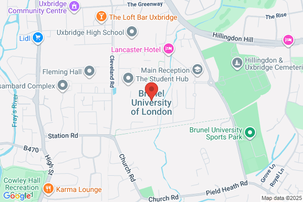 Brunel Institute