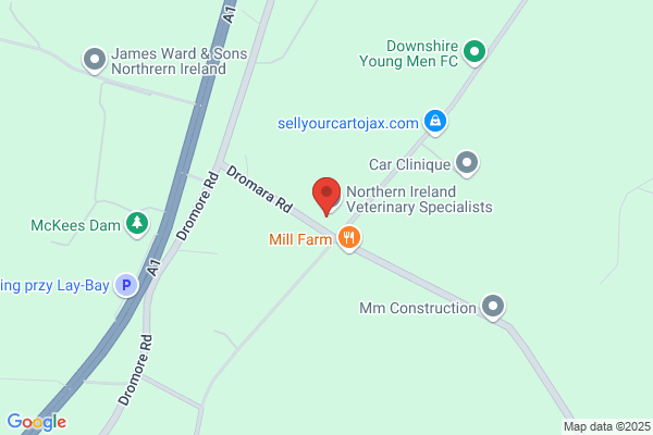 Cromlyn House Veterinary Hospital - Hillsborough