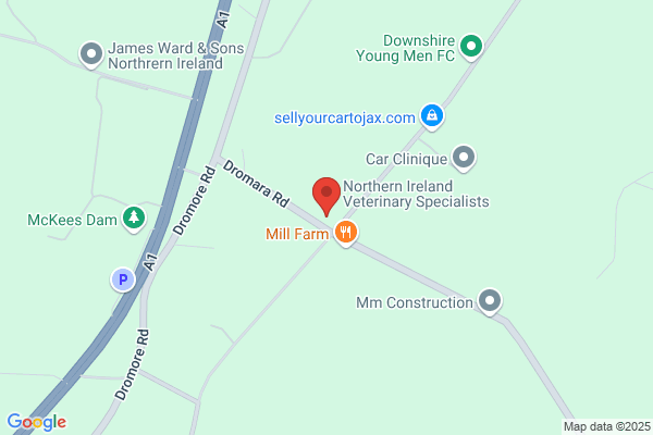 Northern Ireland Veterinary Specialists