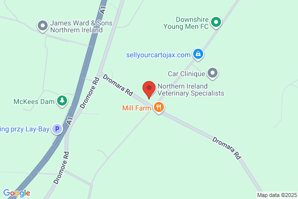 MiNightVet Lisburn