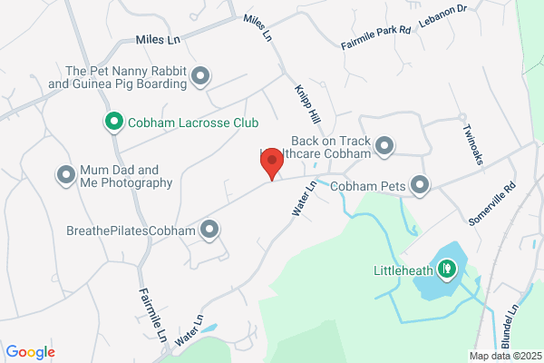 Rolf Lehmann Consultancy