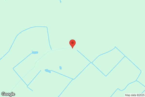 Park Vehicle Services