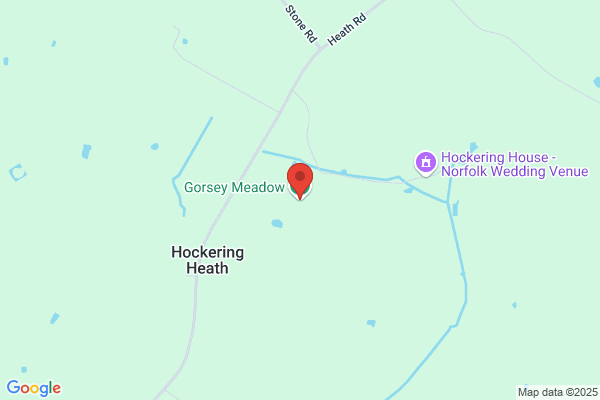 Gorsey Meadow