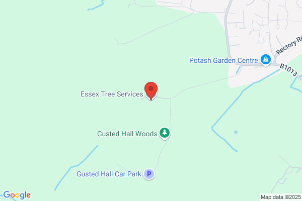 Essex Tree Services Ltd