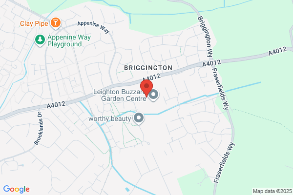 Leighton K9 Grooming