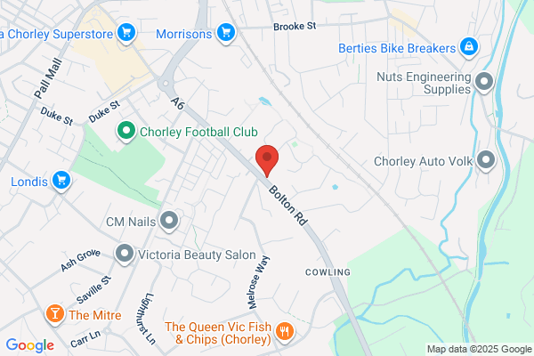 All Breeds