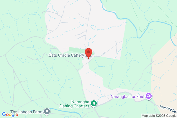 Cats Cradle Cattery