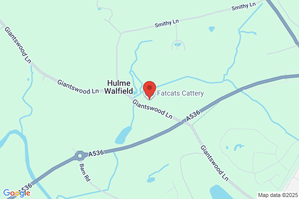 Foxwood Cattery