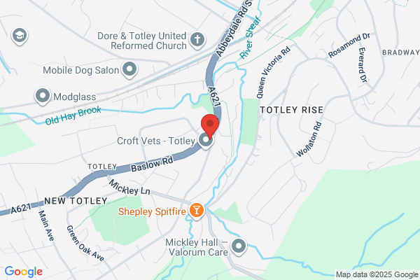 Totley Gifts & Flowers
