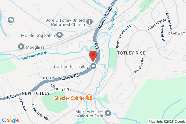 Yorkshire Vehicle Finance