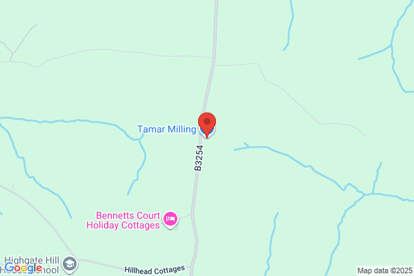 Tamar Milling