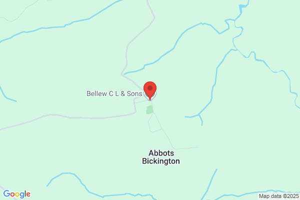 A Bellew