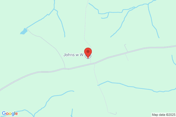 W W Johns
