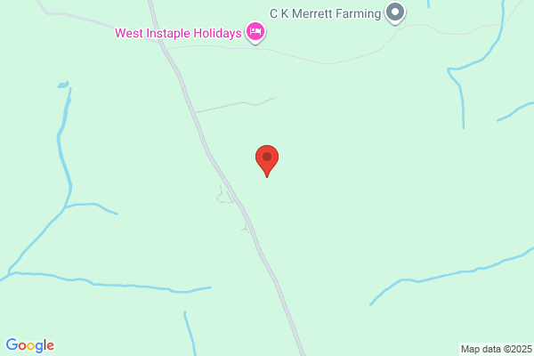 Stacey's Christmas Tree Farm