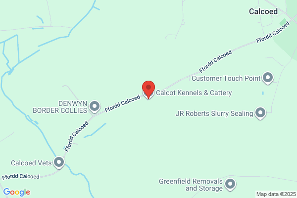 Calcot Boarding Kennels & Cattery