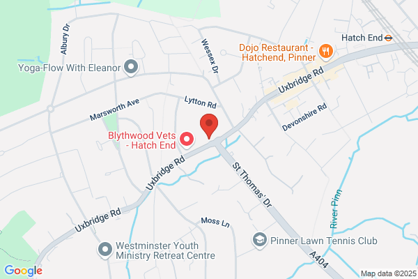Cohen Dental Centre