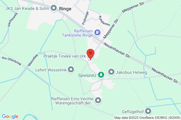 Tineke