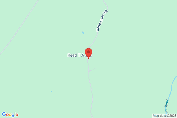 T A Reed