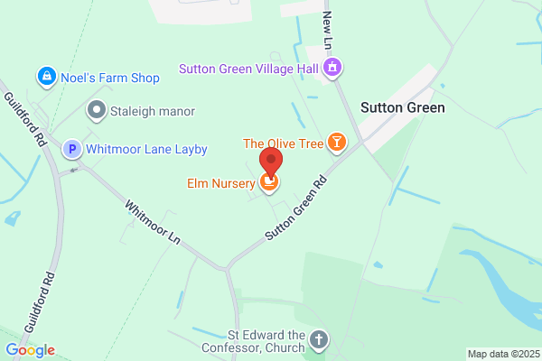 Redwood Tree Surgeons