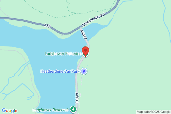 Ladybower Fisheries
