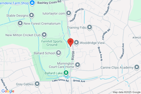 New Forest Day Services