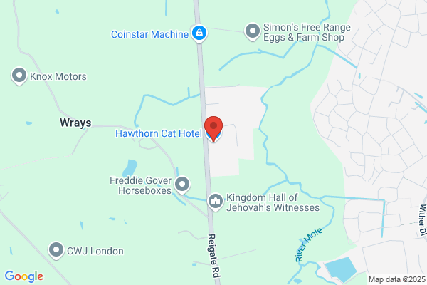 Hawthorn Cat Hotel