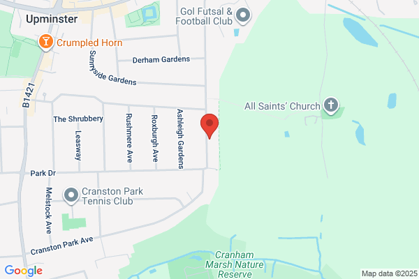 Profile Cleaning Services