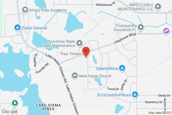Timber Tree Specialists