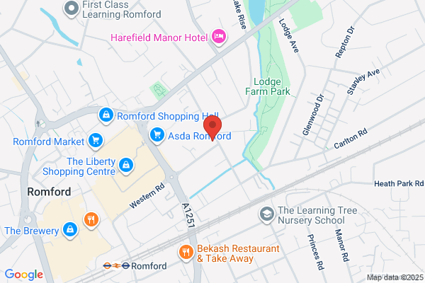 Dr D Bass
