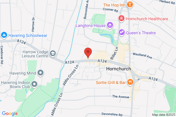 Steelsareus