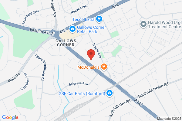 Essex Tree Surgeons