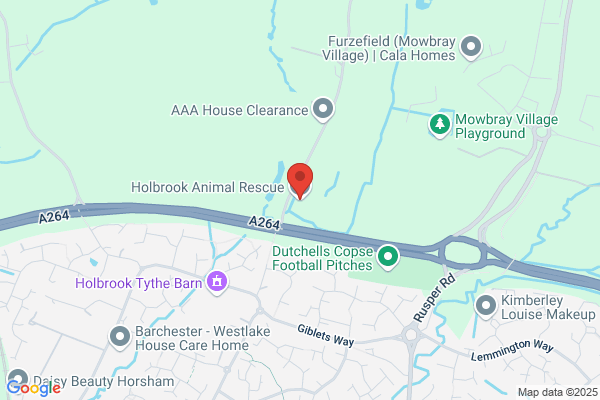 Holbrook Pony Rescue