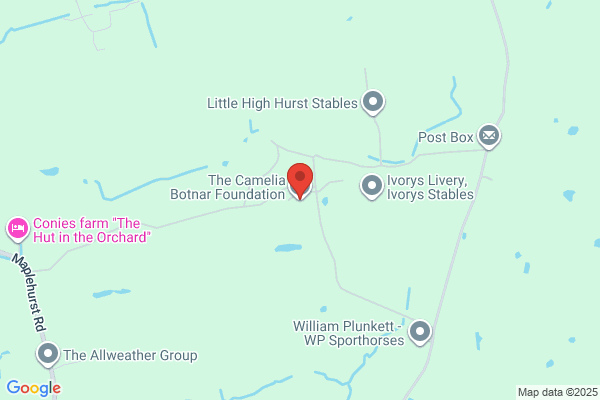 The Camelia Botnar Foundation