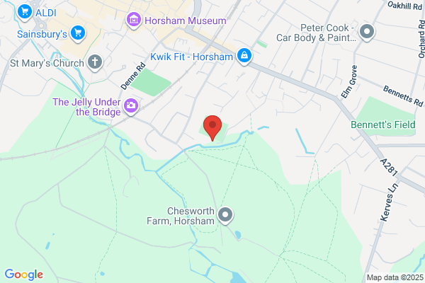 Horsham YMCA F C