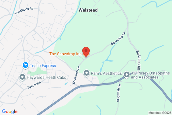The Snowdrop Inn