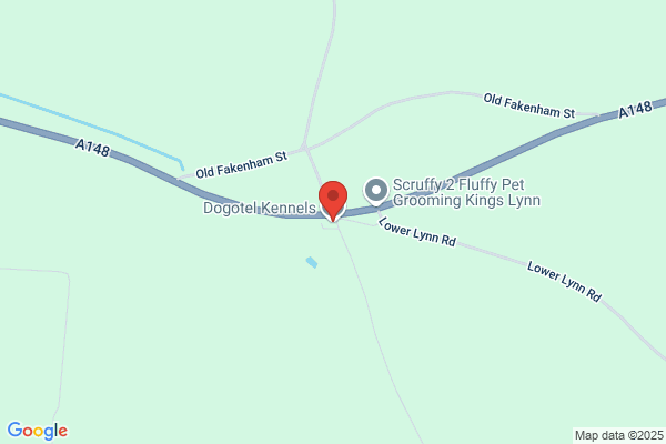 Dogotel