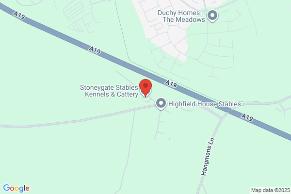 Stoneygate Stables Kennels & Cattery
