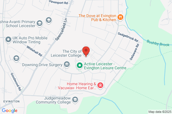 The City Of Leicester School