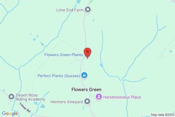 Flowers In The Green
