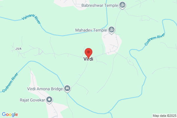N Virdi