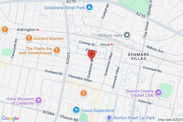David's News & Stores