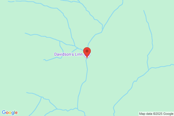 A Davidson
