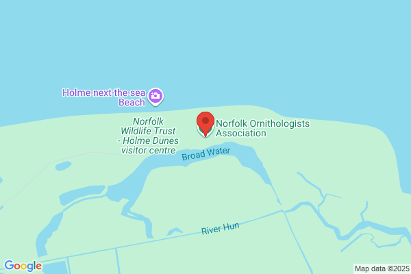 Norfolk Ornithologists Association