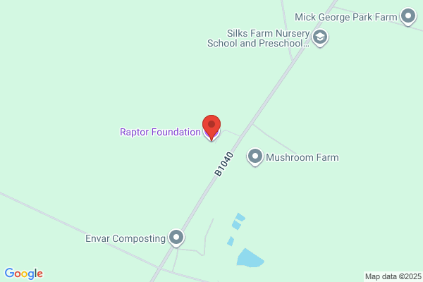 The Raptor Foundation