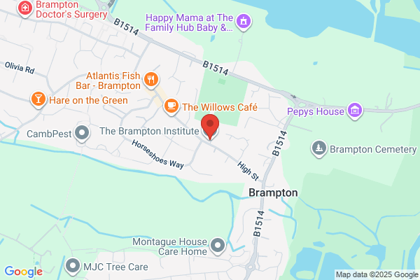 The Brampton Institute