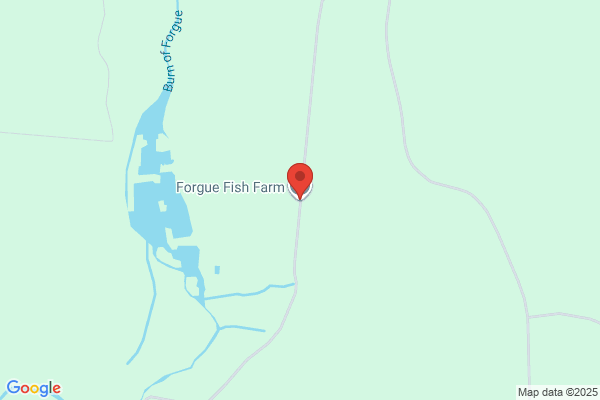 Forgue Fish Farm