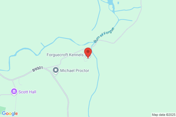 Forguecroft Kennels